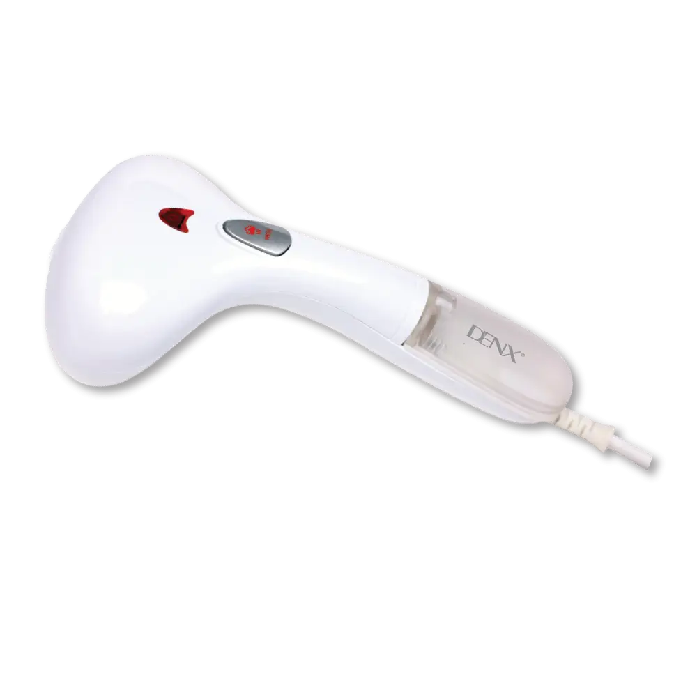 Portable Pro Garment Steamer Model No.: DX3002