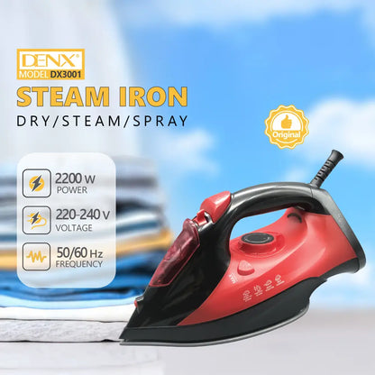 Steam Iron  Model No.: DX3001