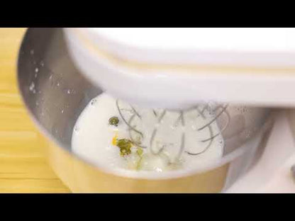 Professional Stand Mixer  Model No.: DX2029